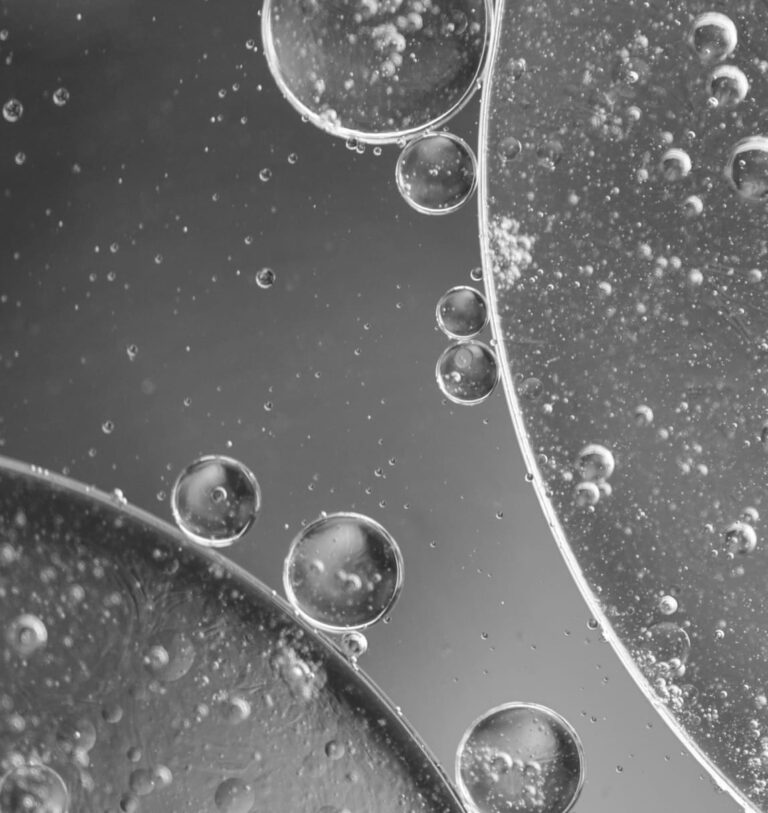 Closeup of microbiology 