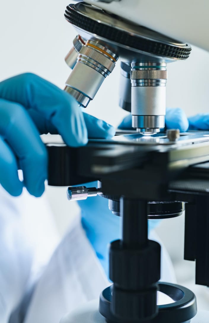 fingers handling culture underneath a microscope