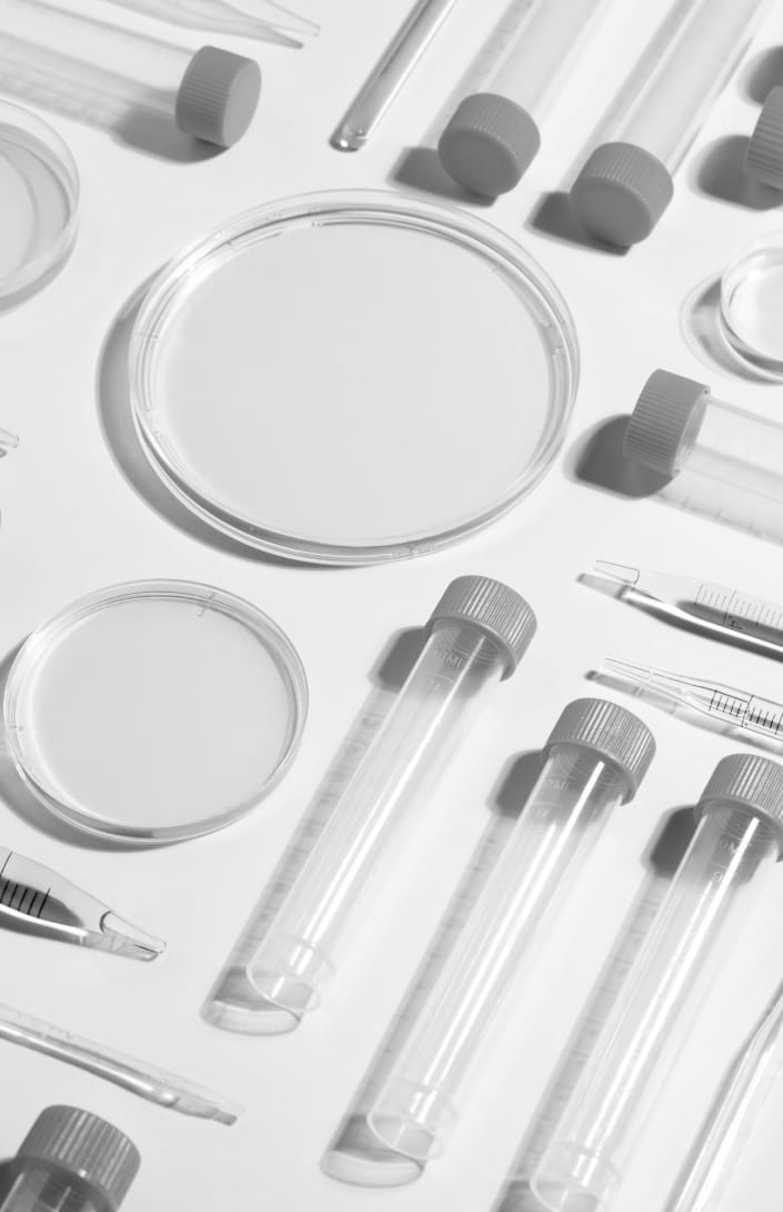 lab culture closeup and other lab tools